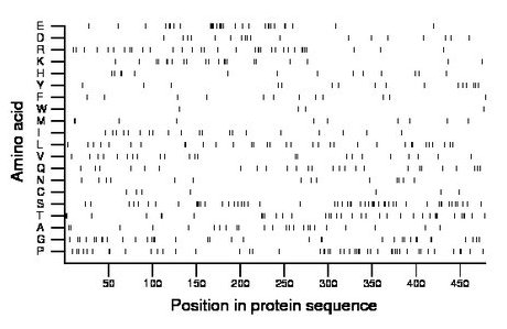 amino acid map