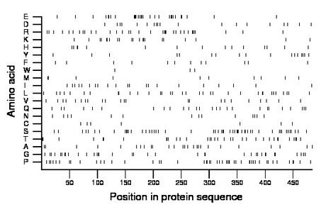 amino acid map