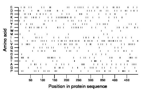 amino acid map