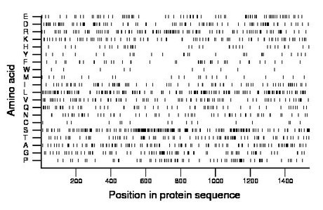 amino acid map