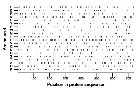 amino acid map