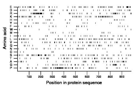 amino acid map