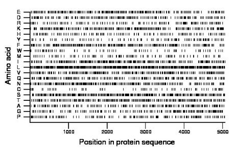 amino acid map