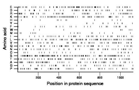 amino acid map