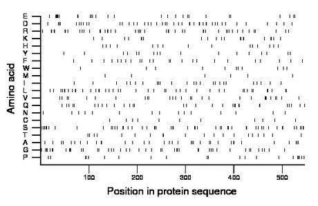 amino acid map