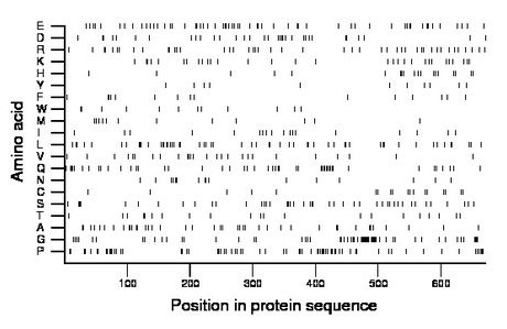 amino acid map