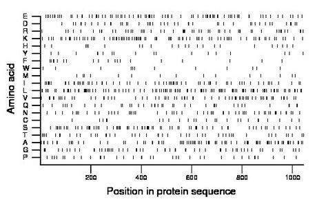 amino acid map