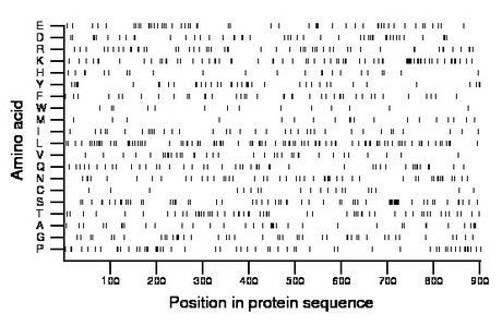 amino acid map