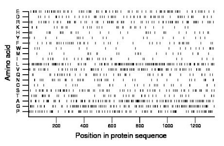 amino acid map