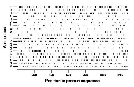 amino acid map