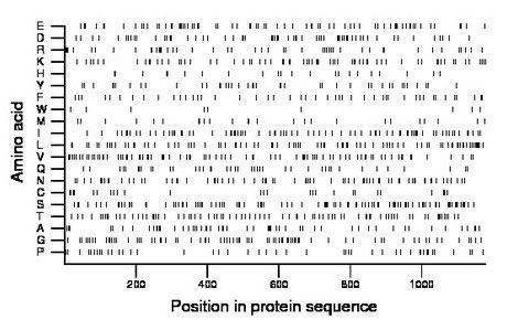 amino acid map