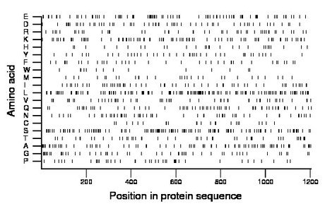 amino acid map