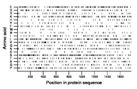 amino acid map