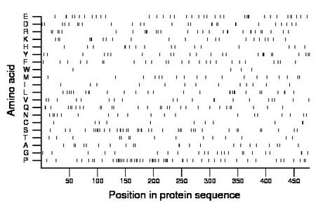 amino acid map