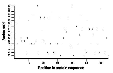 amino acid map