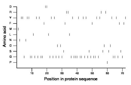 amino acid map