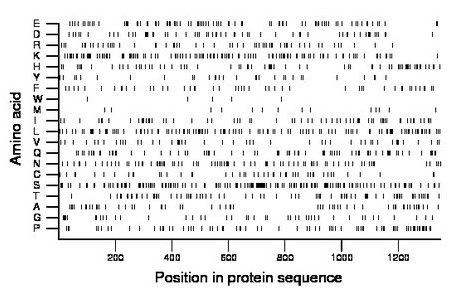 amino acid map