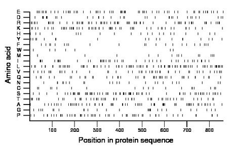 amino acid map