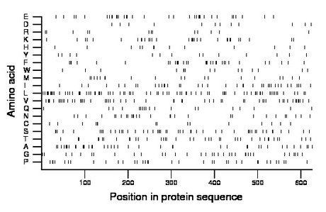 amino acid map