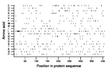 amino acid map