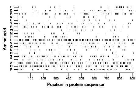 amino acid map