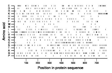 amino acid map