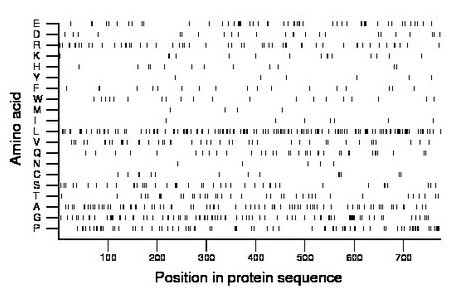 amino acid map