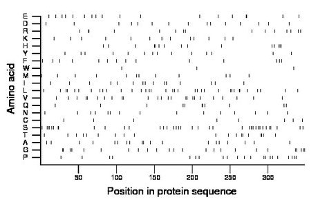 amino acid map