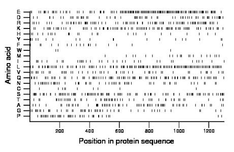 amino acid map