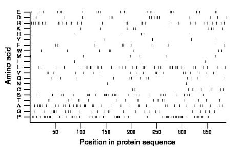 amino acid map