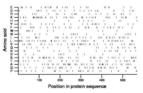 amino acid map