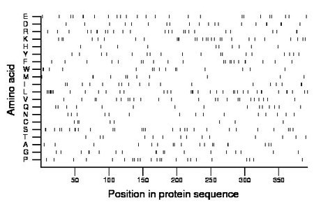 amino acid map