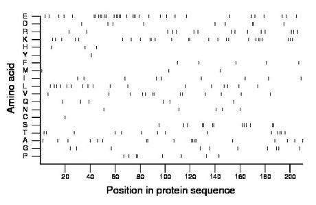 amino acid map