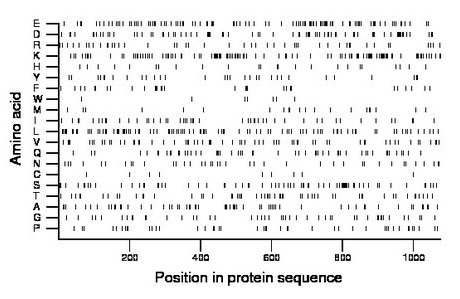 amino acid map