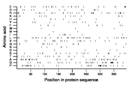 amino acid map