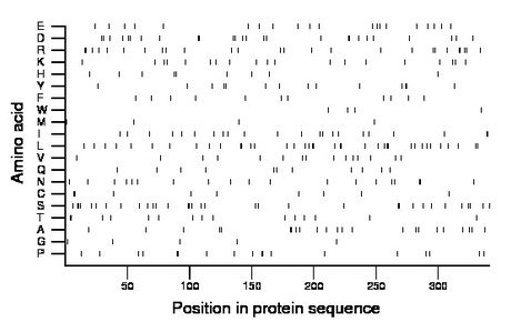 amino acid map