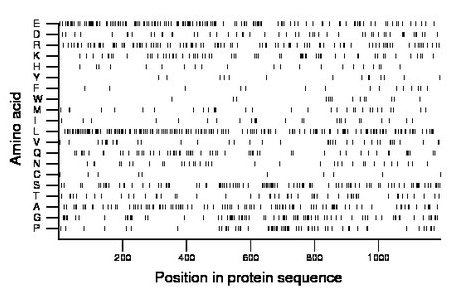 amino acid map