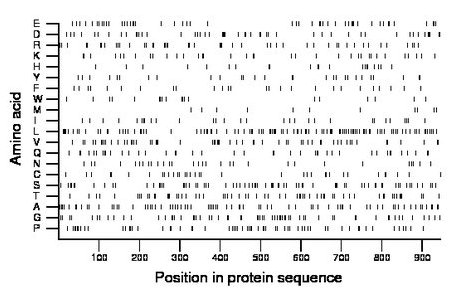 amino acid map