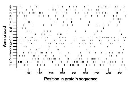 amino acid map