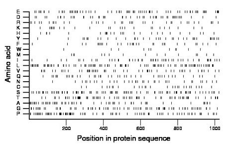 amino acid map