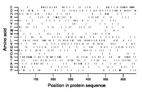 amino acid map