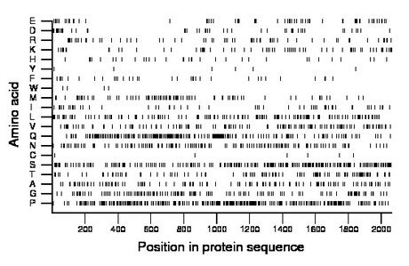 amino acid map