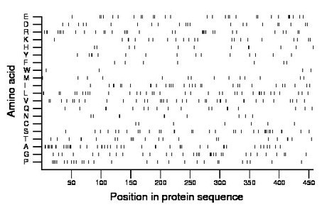 amino acid map