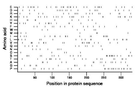 amino acid map