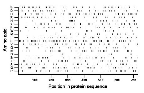 amino acid map