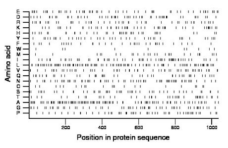 amino acid map