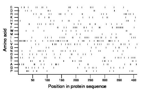 amino acid map