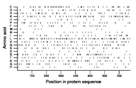 amino acid map