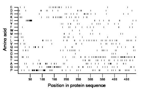 amino acid map