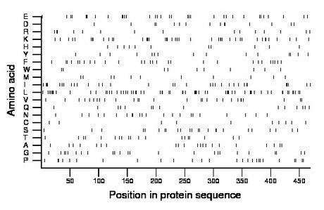 amino acid map